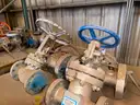 Valves; Check, Gate, Globe, .75in to 8in, CF8M/WCB/A105/316, Kitz/Ladish/Others, UNUSED, 1 LOT