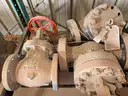 Valves; Check, Gate, Globe, .75in to 8in, CF8M/WCB/A105/316, Kitz/Ladish/Others, UNUSED, 1 LOT