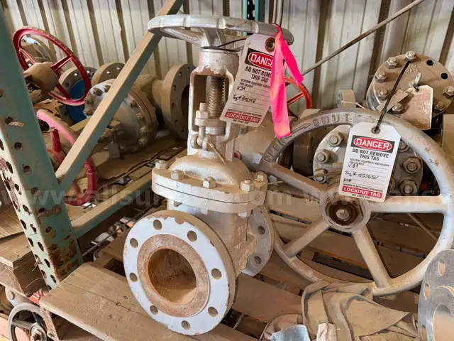 Valves; Check, Gate, Globe, .75in to 8in, CF8M/WCB/A105/316, Kitz/Ladish/Others, UNUSED, 1 LOT