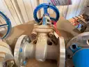 Valves; Check, Gate, Globe, .75in to 8in, CF8M/WCB/A105/316, Kitz/Ladish/Others, UNUSED, 1 LOT