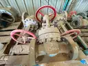 Valves; Check, Gate, Globe, .75in to 8in, CF8M/WCB/A105/316, Kitz/Ladish/Others, UNUSED, 1 LOT