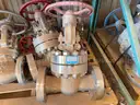Valves; Check, Gate, Globe, .75in to 8in, CF8M/WCB/A105/316, Kitz/Ladish/Others, UNUSED, 1 LOT