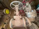 Valves; Check, Gate, Globe, .75in to 8in, CF8M/WCB/A105/316, Kitz/Ladish/Others, UNUSED, 1 LOT
