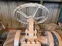 Valves; Check, Gate, Globe, .75in to 8in, CF8M/WCB/A105/316, Kitz/Ladish/Others, UNUSED, 1 LOT