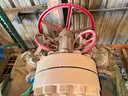 Valves; Check, Gate, Globe, .75in to 8in, CF8M/WCB/A105/316, Kitz/Ladish/Others, UNUSED, 1 LOT