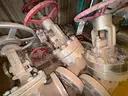 Valves; Check, Gate, Globe, .75in to 8in, CF8M/WCB/A105/316, Kitz/Ladish/Others, UNUSED, 1 LOT