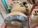 Valves; Check, Gate, Globe, .75in to 8in, CF8M/WCB/A105/316, Kitz/Ladish/Others, UNUSED, 1 LOT