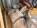 Valves; Check, Gate, Globe, .75in to 8in, CF8M/WCB/A105/316, Kitz/Ladish/Others, UNUSED, 1 LOT