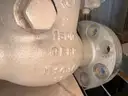 Valves; Check, Gate, Globe, .75in to 8in, CF8M/WCB/A105/316, Kitz/Ladish/Others, UNUSED, 1 LOT