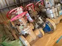 Valves; Check, Gate, Globe, .75in to 8in, CF8M/WCB/A105/316, Kitz/Ladish/Others, UNUSED, 1 LOT