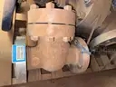 Valves; Check, Gate, Globe, .75in to 8in, CF8M/WCB/A105/316, Kitz/Ladish/Others, UNUSED, 1 LOT