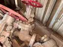 Valves; Check, Gate, Globe, .75in to 8in, CF8M/WCB/A105/316, Kitz/Ladish/Others, UNUSED, 1 LOT