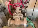 Valves; Check, Gate, Globe, .75in to 8in, CF8M/WCB/A105/316, Kitz/Ladish/Others, UNUSED, 1 LOT