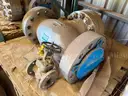 Valves; Check, Gate, Globe, .75in to 8in, CF8M/WCB/A105/316, Kitz/Ladish/Others, UNUSED, 1 LOT