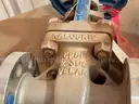 Valves; Check, Gate, Globe, .75in to 8in, CF8M/WCB/A105/316, Kitz/Ladish/Others, UNUSED, 1 LOT