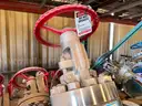Valves; Check, Gate, Globe, .75in to 8in, CF8M/WCB/A105/316, Kitz/Ladish/Others, UNUSED, 1 LOT