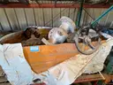 Valves; Check, Gate, Globe, .75in to 8in, CF8M/WCB/A105/316, Kitz/Ladish/Others, UNUSED, 1 LOT