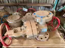 Valves; Check, Gate, Globe, .75in to 8in, CF8M/WCB/A105/316, Kitz/Ladish/Others, UNUSED, 1 LOT