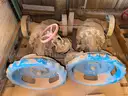 Valves; Check, Gate, Globe, .75in to 8in, CF8M/WCB/A105/316, Kitz/Ladish/Others, UNUSED, 1 LOT