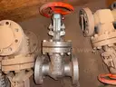 Valves; Check, Globe, Gate 1in &#x26; 16in, Ratings 150/300#, WCB/A105, Neway/Kitz/DSI, UNUSED, 1 LOT