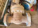 Valves; Check, Globe, Gate 1in &#x26; 16in, Ratings 150/300#, WCB/A105, Neway/Kitz/DSI, UNUSED, 1 LOT