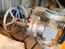 Valves; Check, Globe, Gate 1in &#x26; 16in, Ratings 150/300#, WCB/A105, Neway/Kitz/DSI, UNUSED, 1 LOT