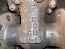 Valves; Check, Globe, Gate 1in &#x26; 16in, Ratings 150/300#, WCB/A105, Neway/Kitz/DSI, UNUSED, 1 LOT