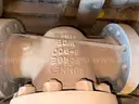 Valves; Check, Globe, Gate 1in &#x26; 16in, Ratings 150/300#, WCB/A105, Neway/Kitz/DSI, UNUSED, 1 LOT