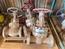 Valves; Check, Globe, Gate 1in &#x26; 16in, Ratings 150/300#, WCB/A105, Neway/Kitz/DSI, UNUSED, 1 LOT
