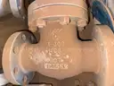 Valves; Check, Globe, Gate 1in &#x26; 16in, Ratings 150/300#, WCB/A105, Neway/Kitz/DSI, UNUSED, 1 LOT