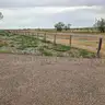 Fence Post &#x26; Rail, Approx 230&#x27;