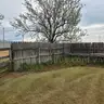 Cedar Fence w/ 6&#x27; Pickets, Approx 200&#x27;