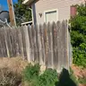 Cedar Fence w/ 6&#x27; Pickets, Approx 200&#x27;