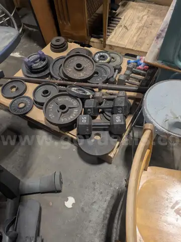 Miscellaneous weights with bar