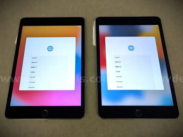 Lot of Two (2) Apple iPad Minis
