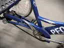 Torker Tristar Adult Tricycle