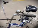 Torker Tristar Adult Tricycle