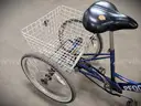 Torker Tristar Adult Tricycle