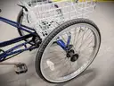 Torker Tristar Adult Tricycle