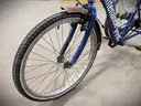 Torker Tristar Adult Tricycle