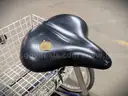 Torker Tristar Adult Tricycle