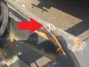 Dumpster, Skid and a Roll Off Trailer
