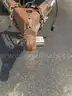 Dumpster, Skid and a Roll Off Trailer