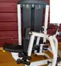 Life Fitness Insignia Series Row