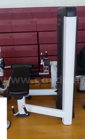 Life Fitness Insignia Series Leg Curl