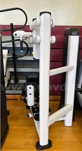 Life Fitness Insignia Series Torso Rotation