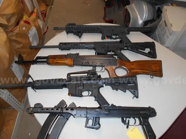 Lot of 5 Guns