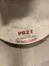 Propane Burnisher