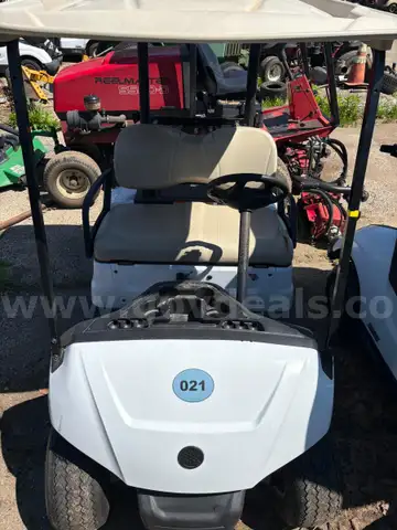 2019 Yamaha Golf Cart