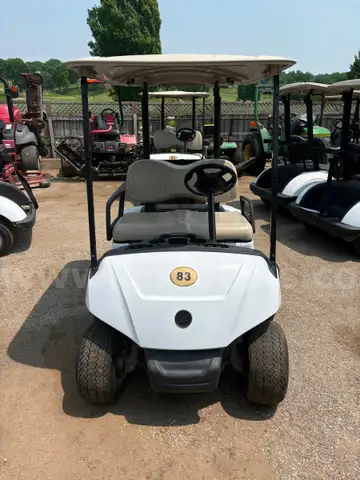 2019 Yamaha Golf Cart